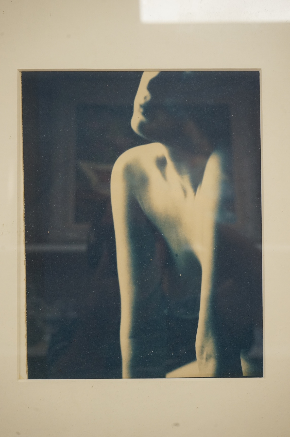 Allan Jenkins (contemporary), 'Jenny torso 2000' and 'Charlotte's profile', 1999, each signed, titled, dated and numbered in pencil verso, pair of toned cyanotype prints, each with labels verso, 24 x 19cm